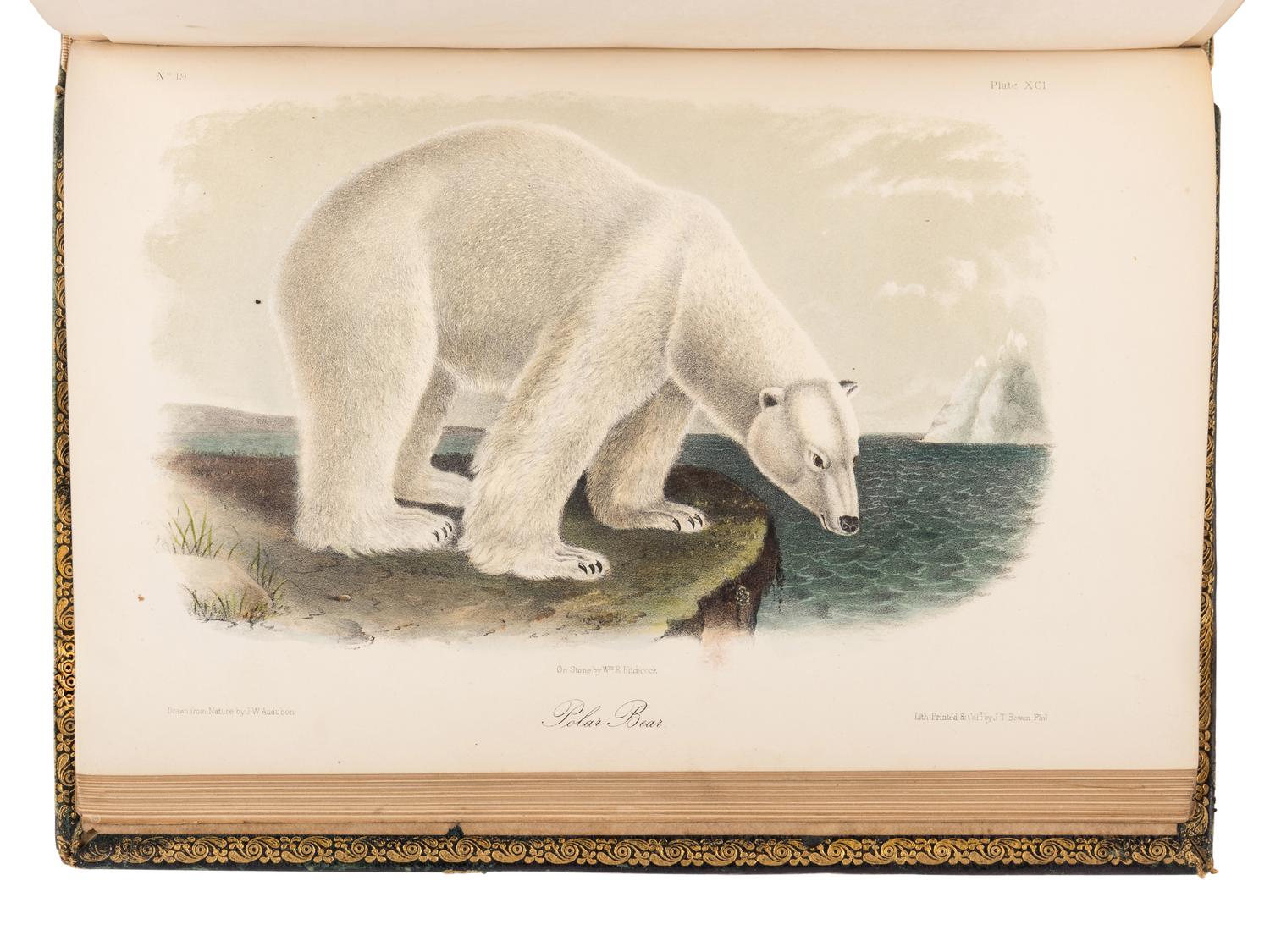 AUDUBON, John James (1785-1851) and John BACHMAN (1790-1874). The Quadrupeds of North America . New York: V.G. Audubon, 1849, 1851, 1854.