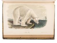 AUDUBON, John James (1785-1851) and John BACHMAN (1790-1874). The Quadrupeds of North America . New York: V.G. Audubon, 1849, 1851, 1854.