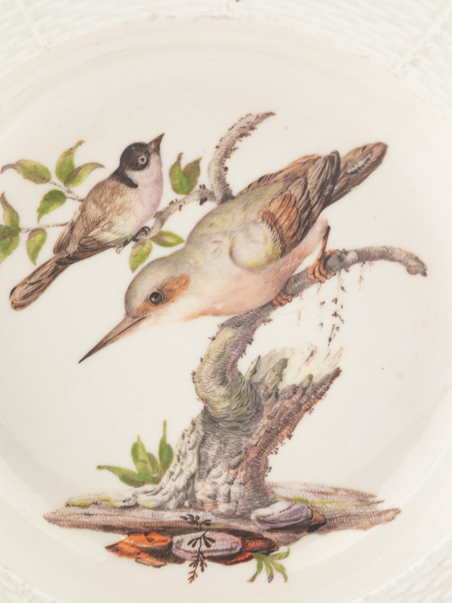 A Meissen Porcelain Ornithological Plate