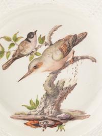 A Meissen Porcelain Ornithological Plate