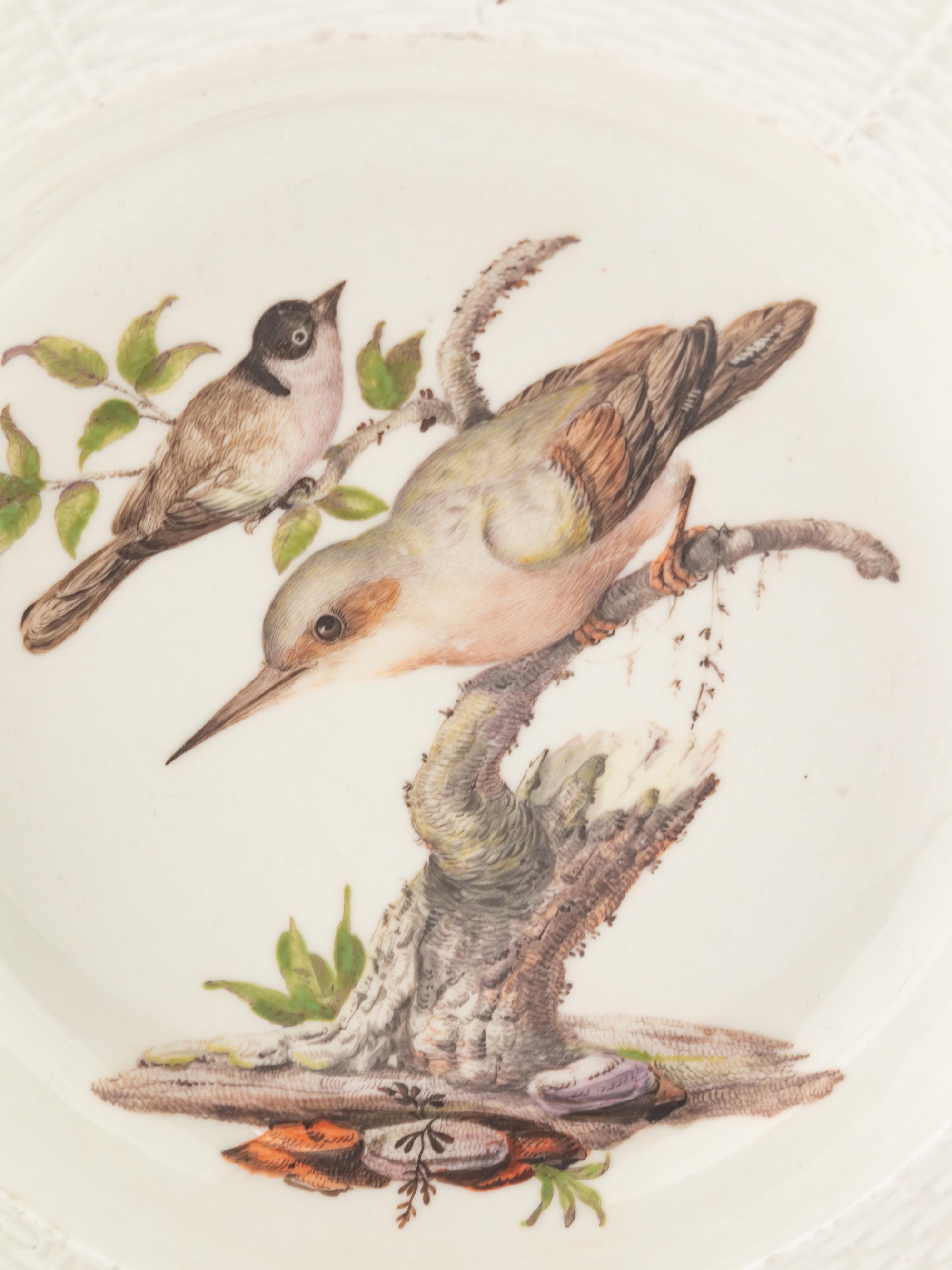 A Meissen Porcelain Ornithological Plate
