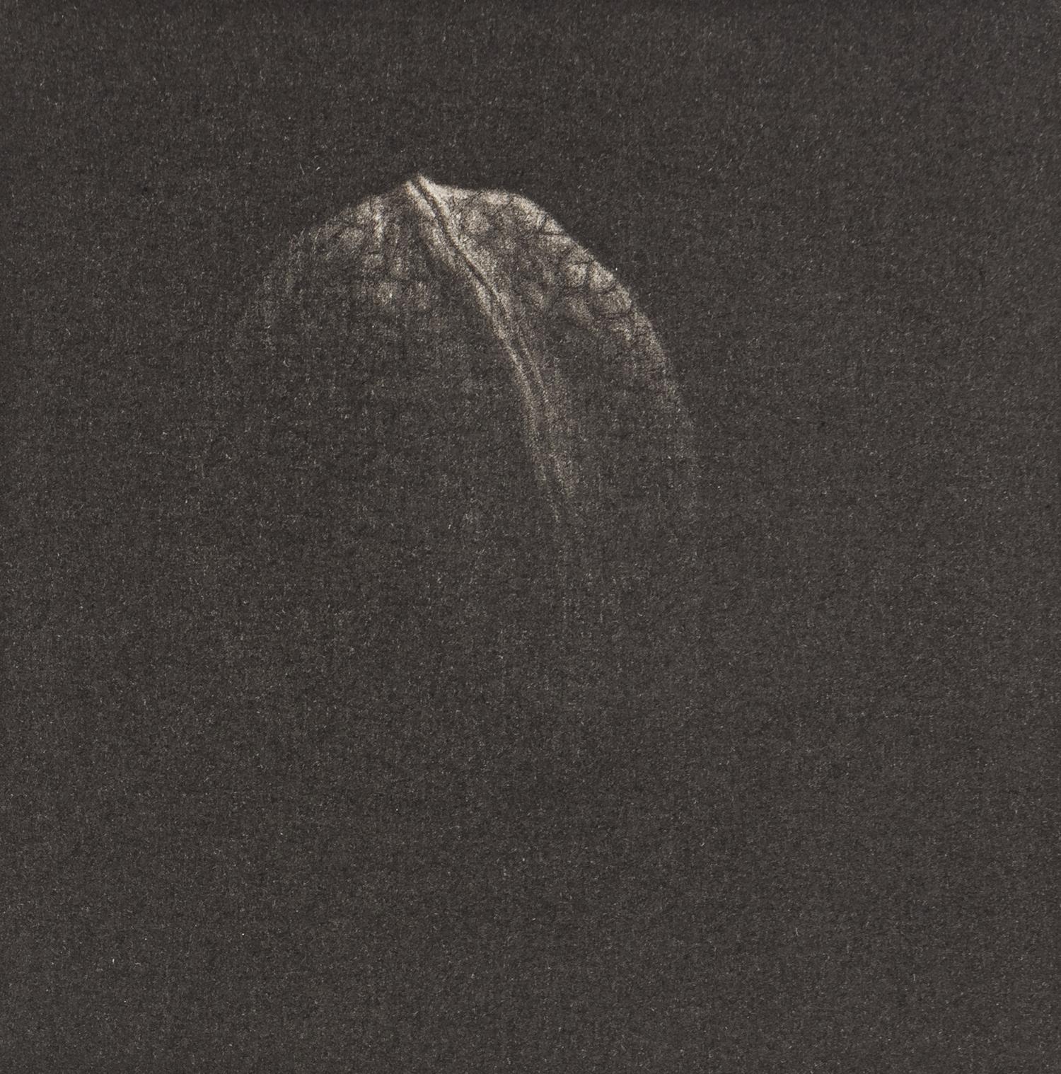 A Group of Four Prints ( Jetty , 1965; Walnut, 1982; Knitting Needle, 1985; and Almost Symmetric, 1994)