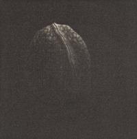 A Group of Four Prints ( Jetty , 1965; Walnut, 1982; Knitting Needle, 1985; and Almost Symmetric, 1994)