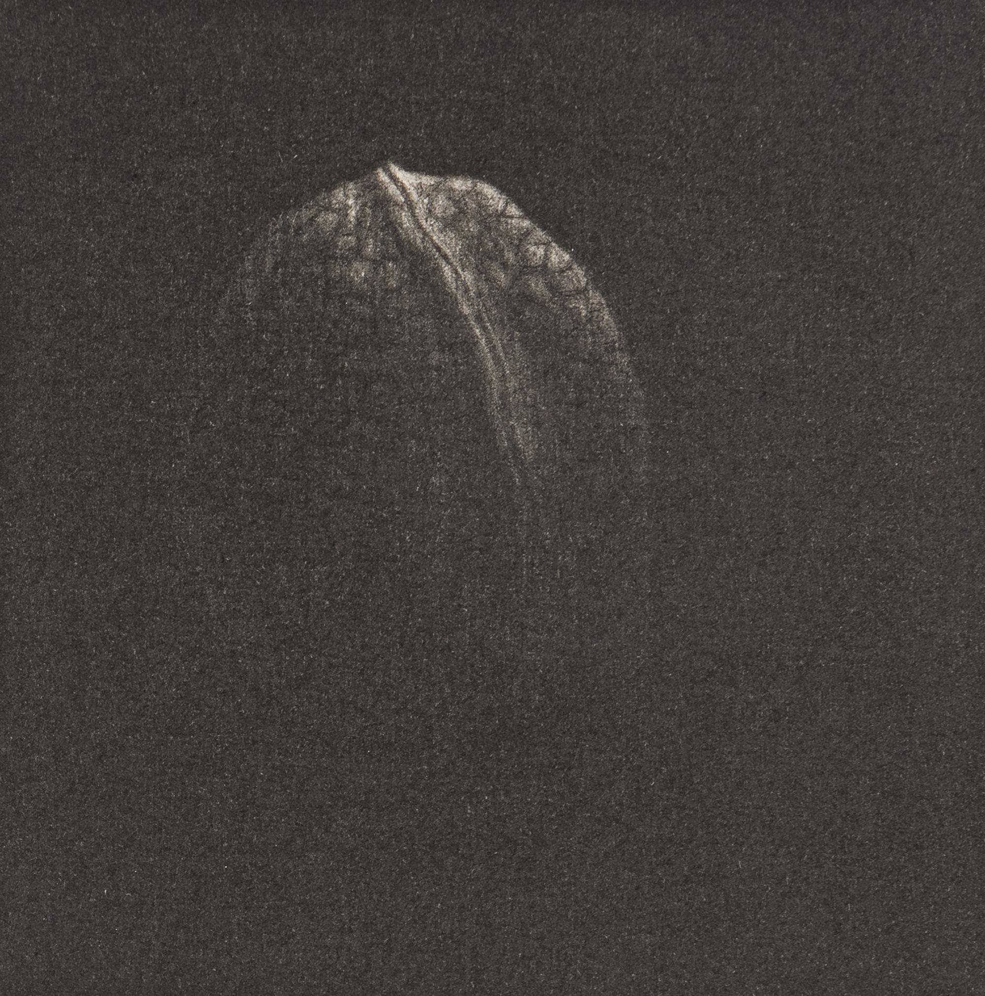 A Group of Four Prints ( Jetty , 1965; Walnut, 1982; Knitting Needle, 1985; and Almost Symmetric, 1994)