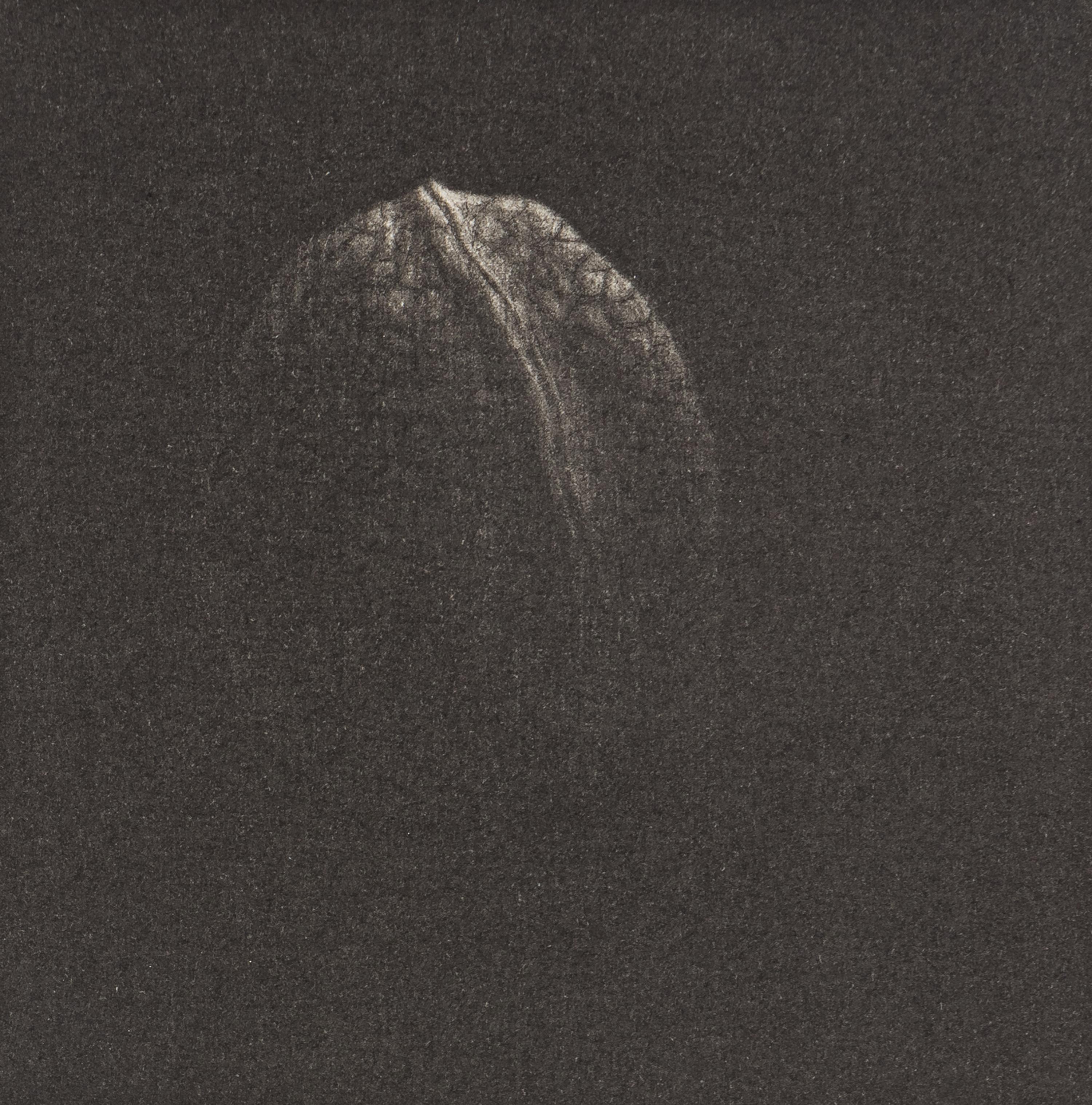 A Group of Four Prints ( Jetty , 1965; Walnut, 1982; Knitting Needle, 1985; and Almost Symmetric, 1994)