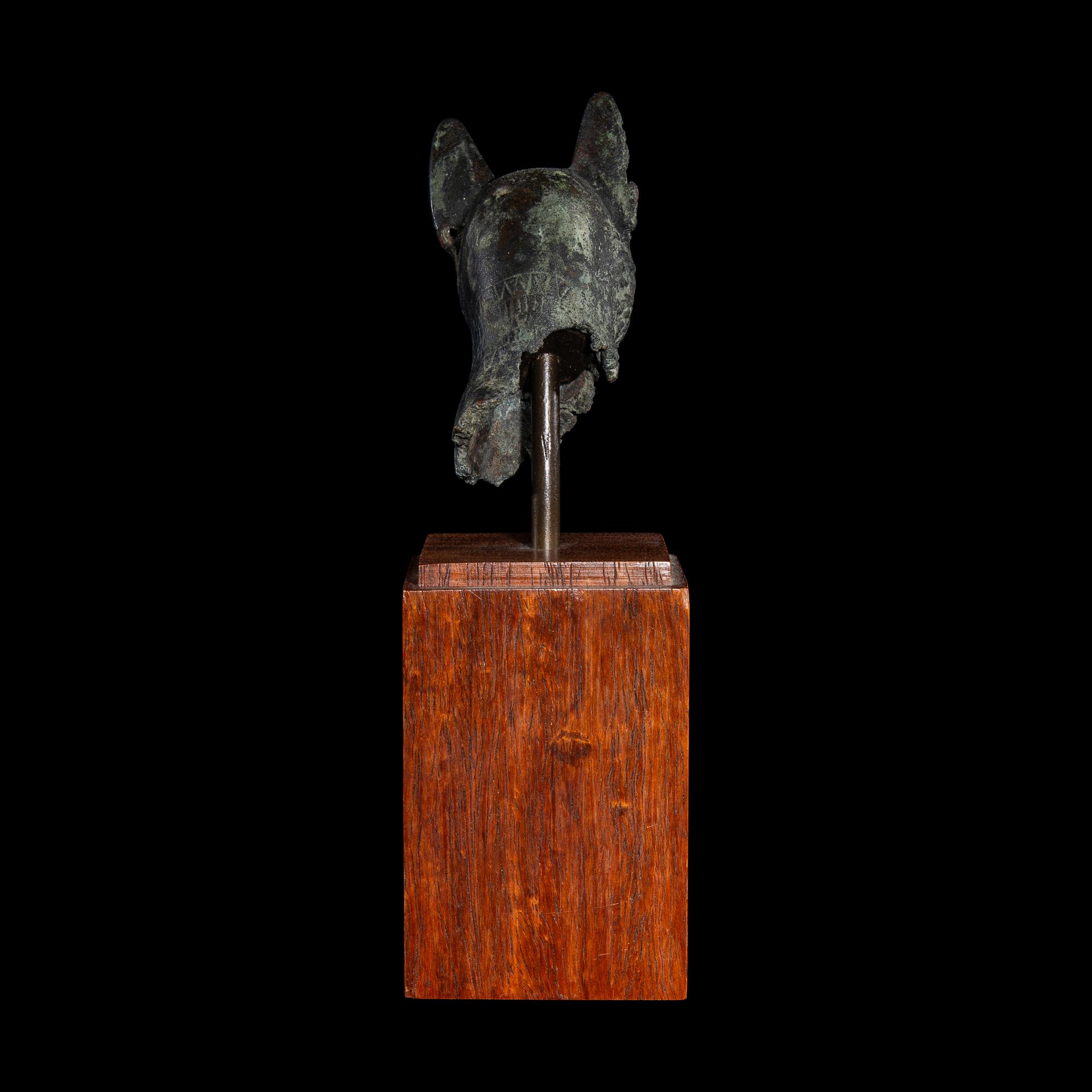 An Egyptian Bronze Head of a Cat