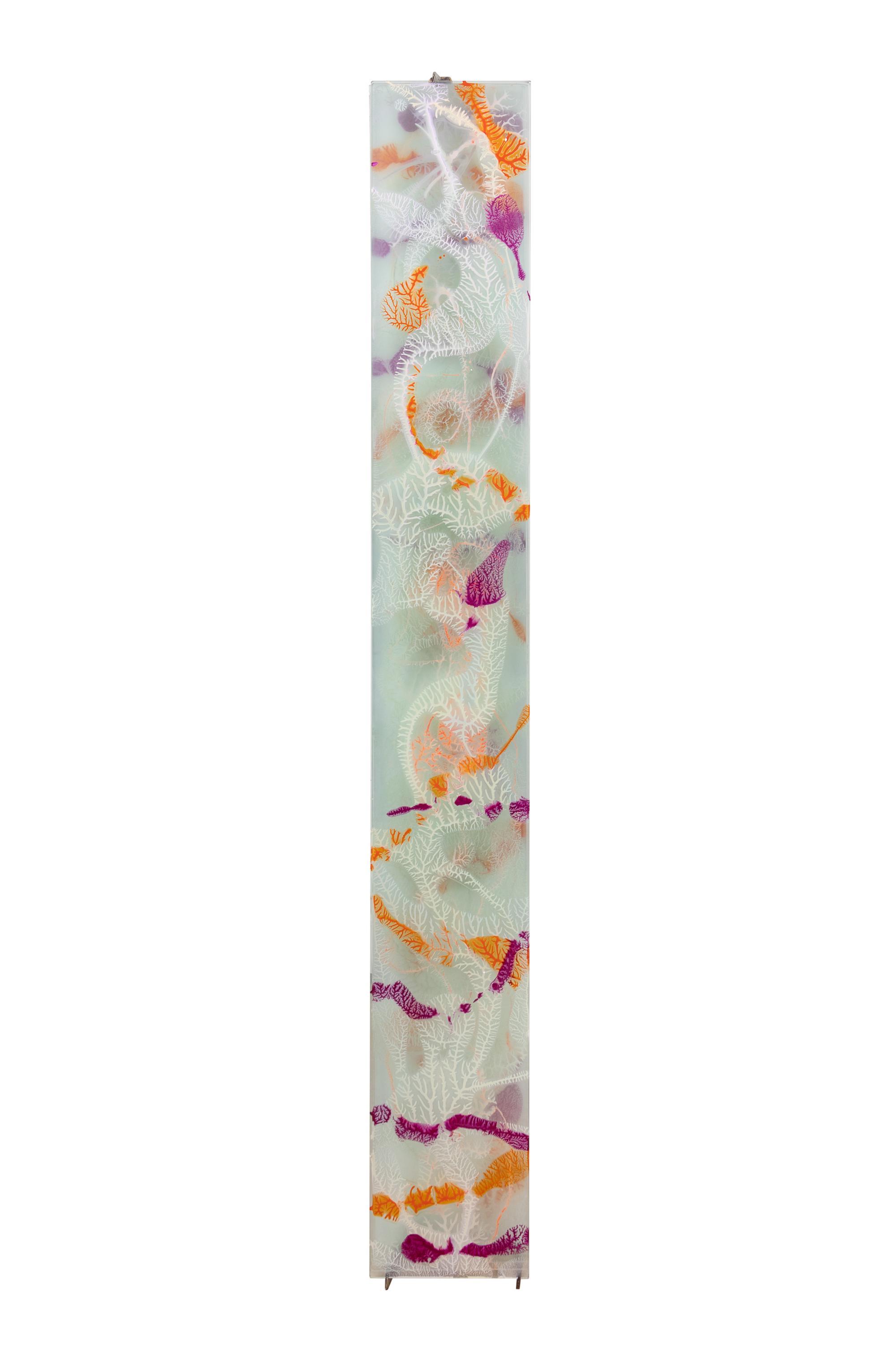Untitled No. 234