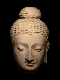 A Gandharan Stucco Buddha Head