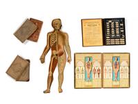 A Group of Medical and Anatomical Related Material Including a Case of Dental Molds