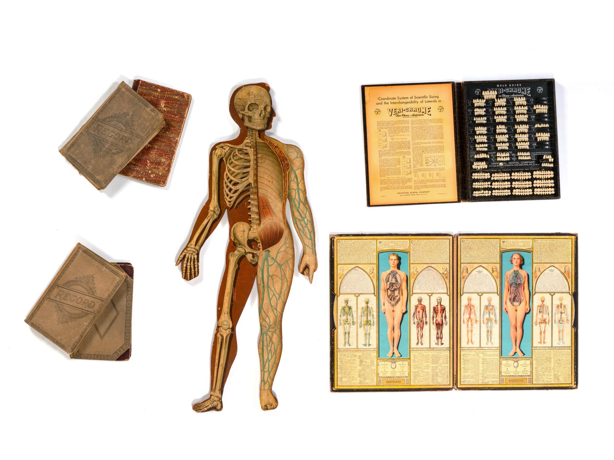 A Group of Medical and Anatomical Related Material Including a Case of Dental Molds