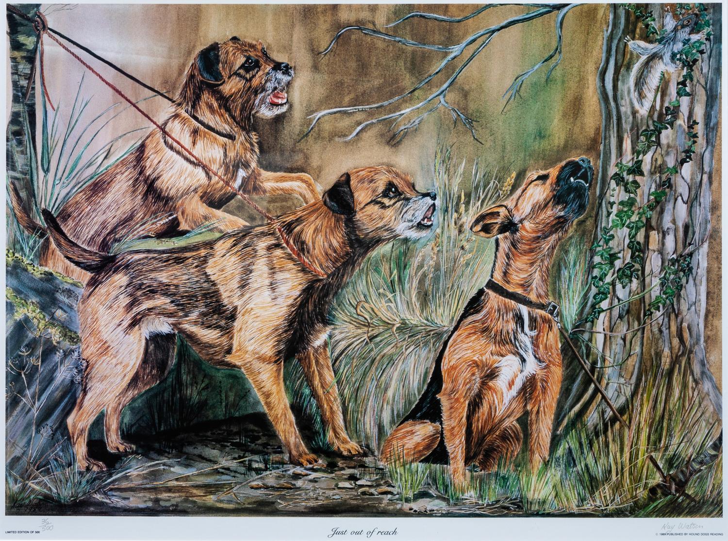 Two Photomechanical Reproductions of Border Terriers Larger: 15 3/4 x 21 1/4 inches.