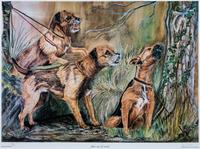 Two Photomechanical Reproductions of Border Terriers Larger: 15 3/4 x 21 1/4 inches.
