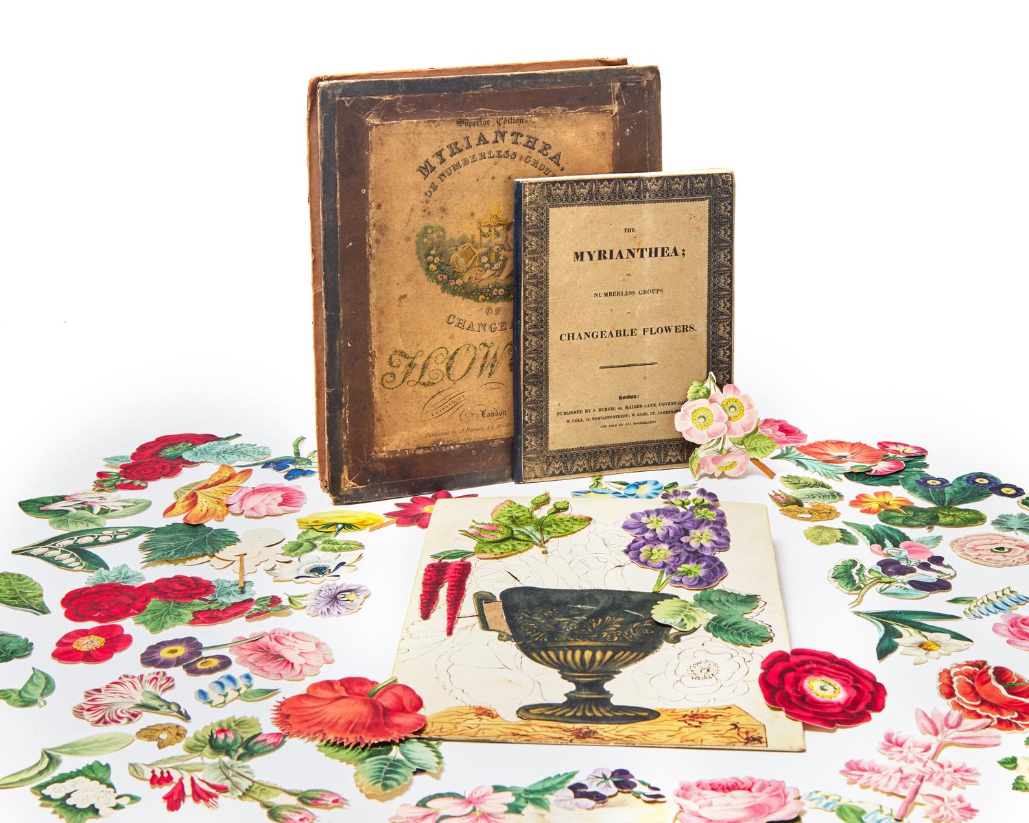[Natural History] The Myrianthea; or, Numberless Groups of Changeable Flowers: Intended to Teach, By the Most Ready and Easy Means, The Art of Composing, Drawing, and Colouring Groups of Flowers...