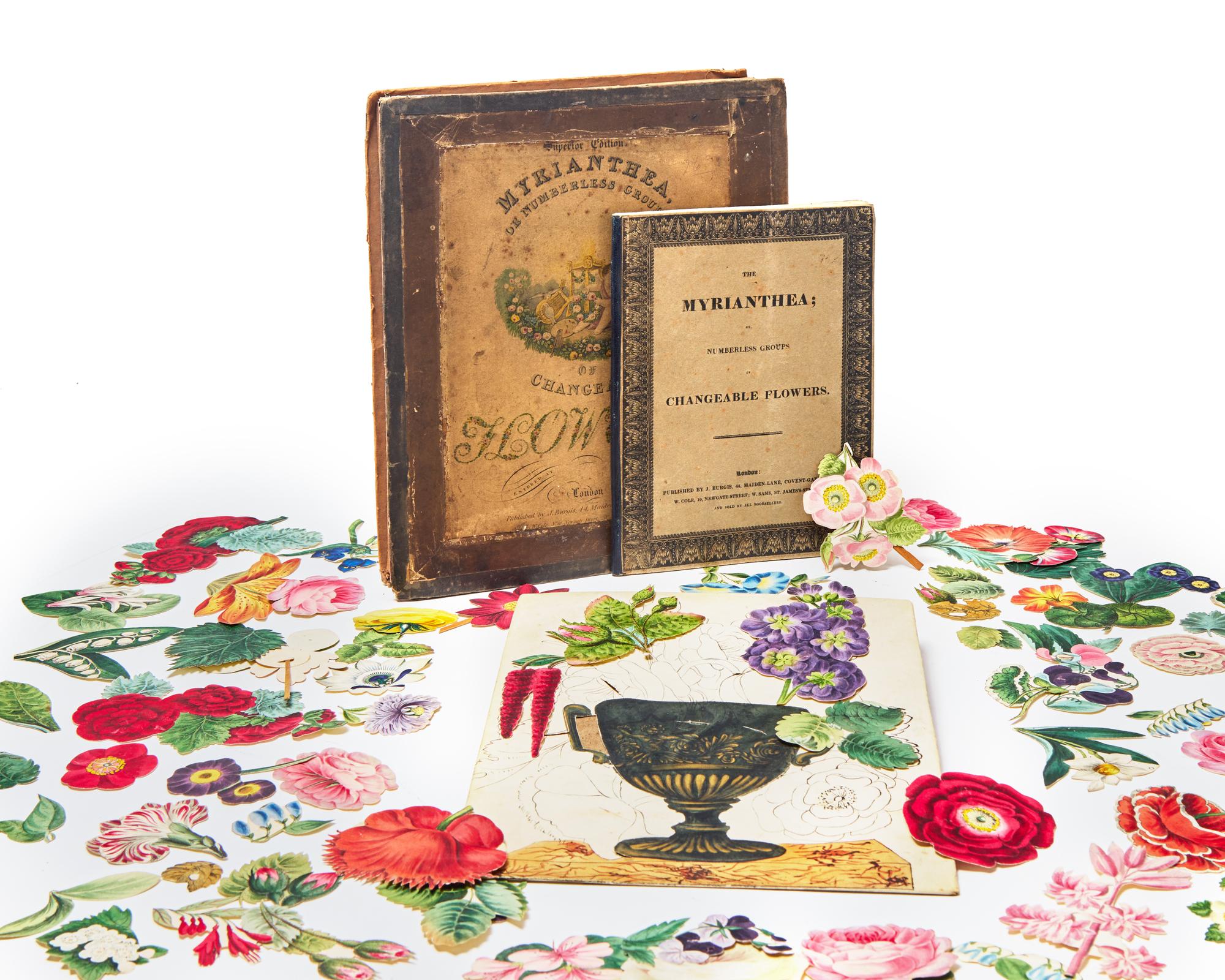 [Natural History] The Myrianthea; or, Numberless Groups of Changeable Flowers: Intended to Teach, By the Most Ready and Easy Means, The Art of Composing, Drawing, and Colouring Groups of Flowers...