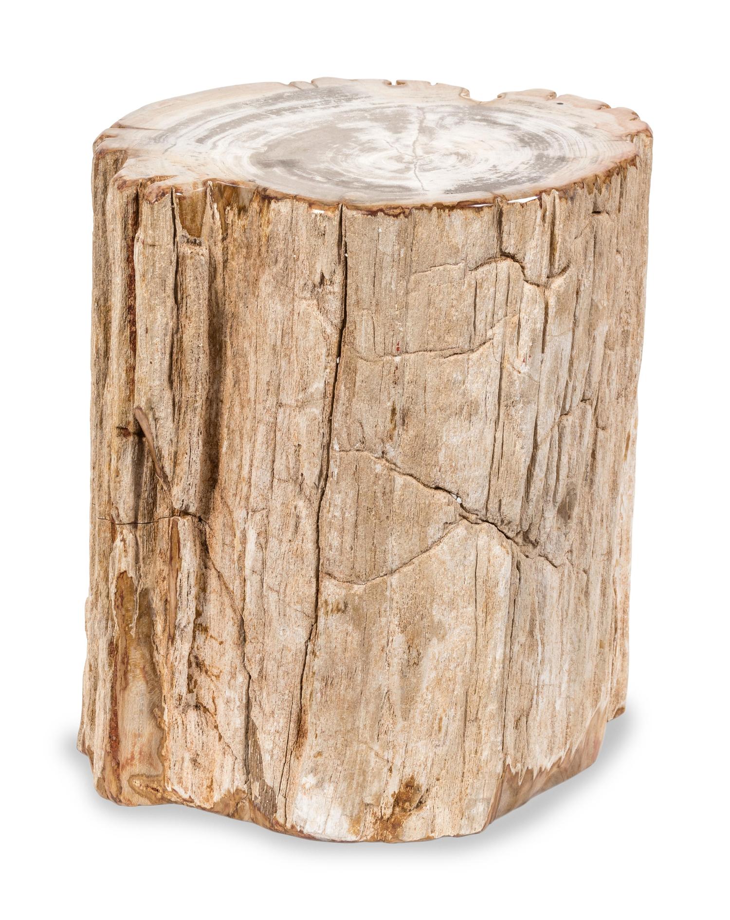 A Primitive Stump-Form Side Table — 20TH CENTURY