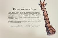 World of Wildlife Paintings