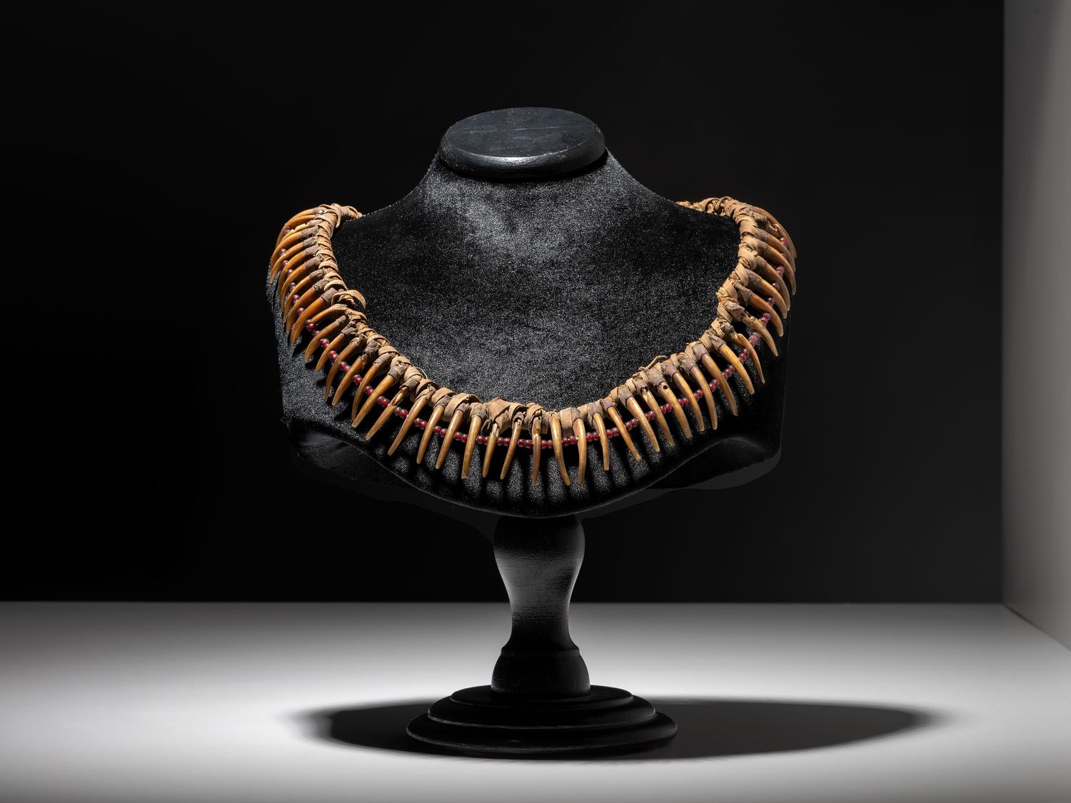 Prairie Badger Claw Necklace