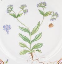 A Set of Eight Royal Copenhagen Flora Danica Porcelain Salad Plates