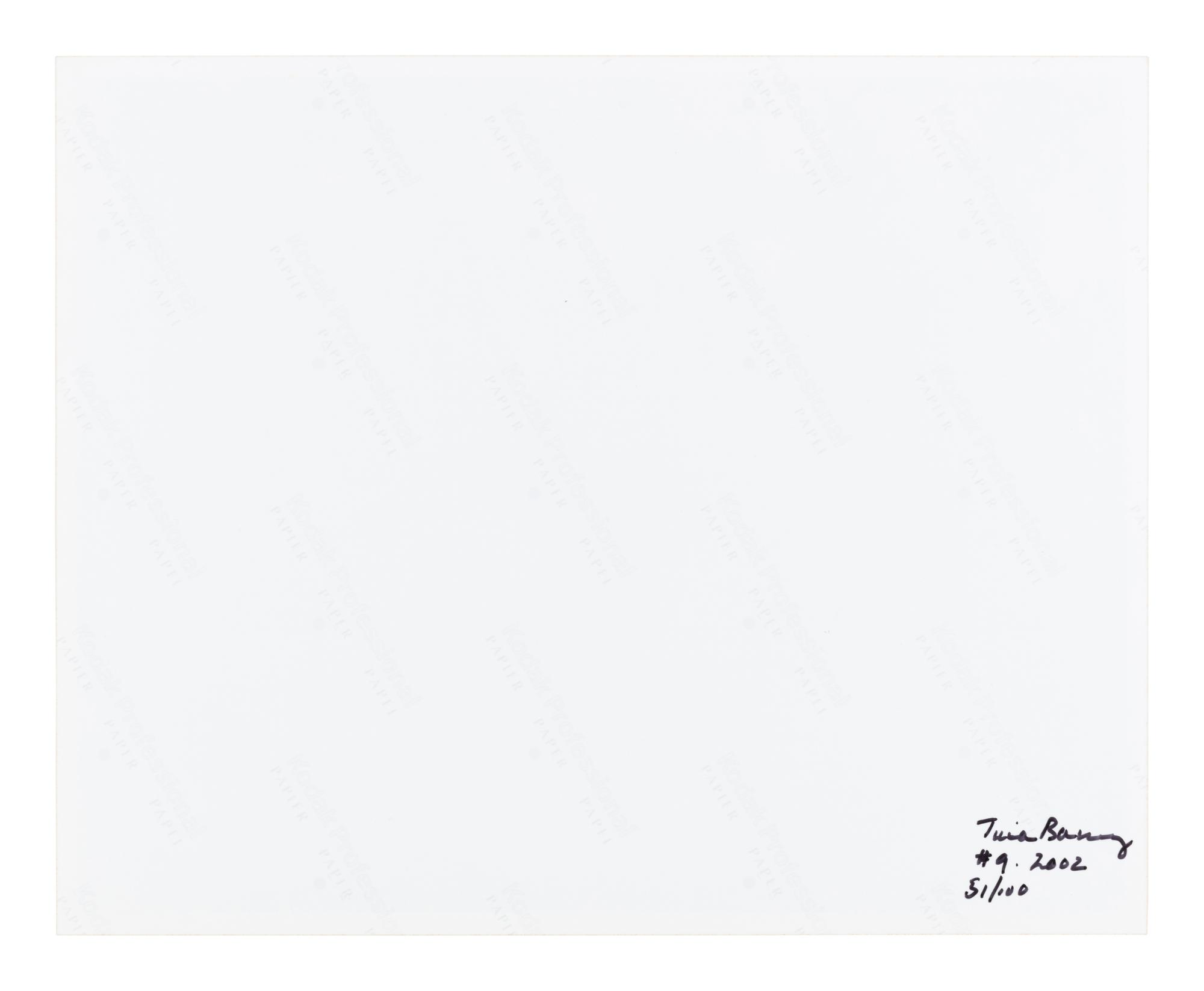 Tina Barney (born 1945) Untitled #9 (Nudes), 2002