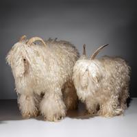 Style of Claude Lalanne 20th Century — Two Mountain Goat-Form Foot Stools