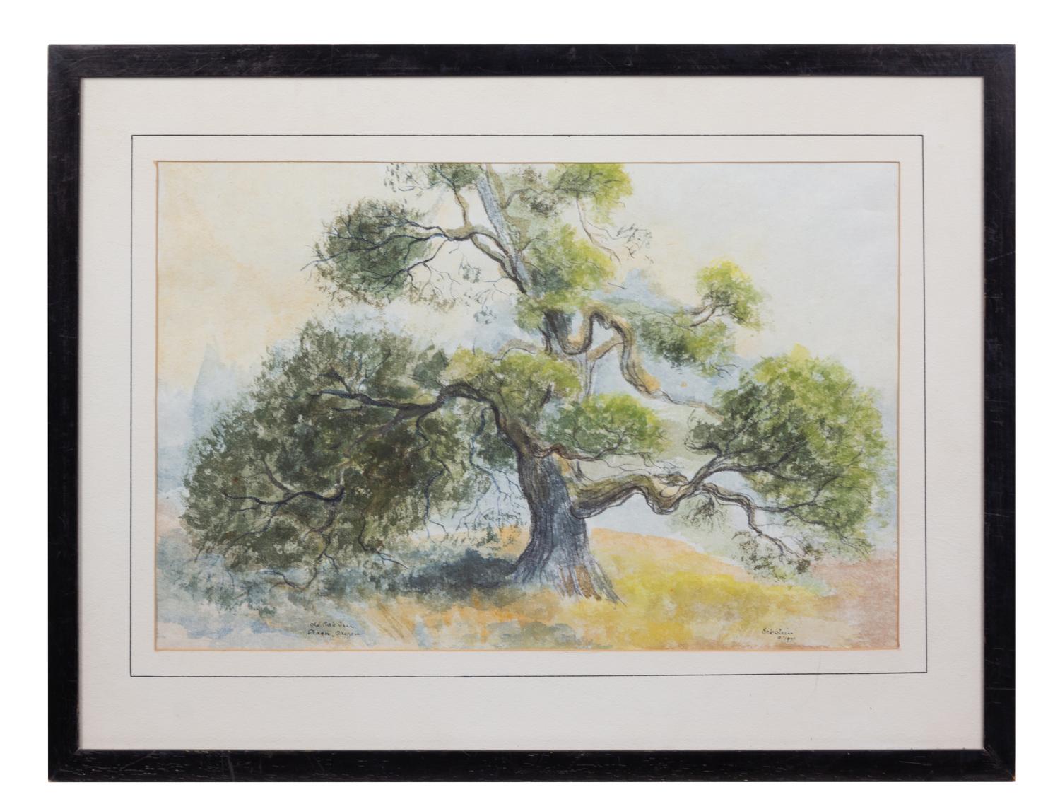 Ruth Eckstein (20th century) Old Oak Tree, 1971 watercolor…