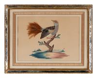 Three Illustrations of Birds