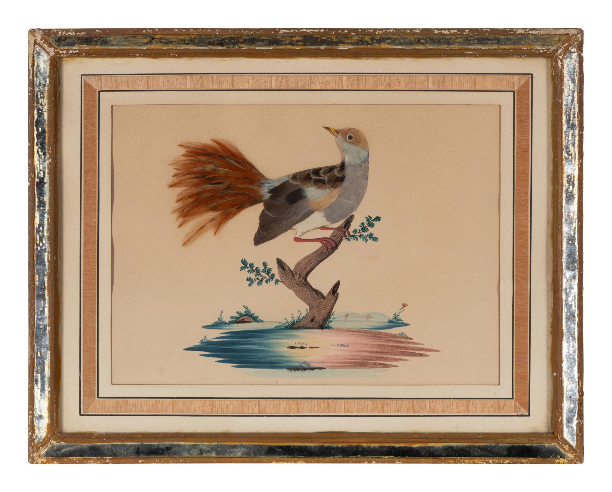Three Illustrations of Birds