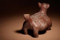 A Colima Terracotta Dog