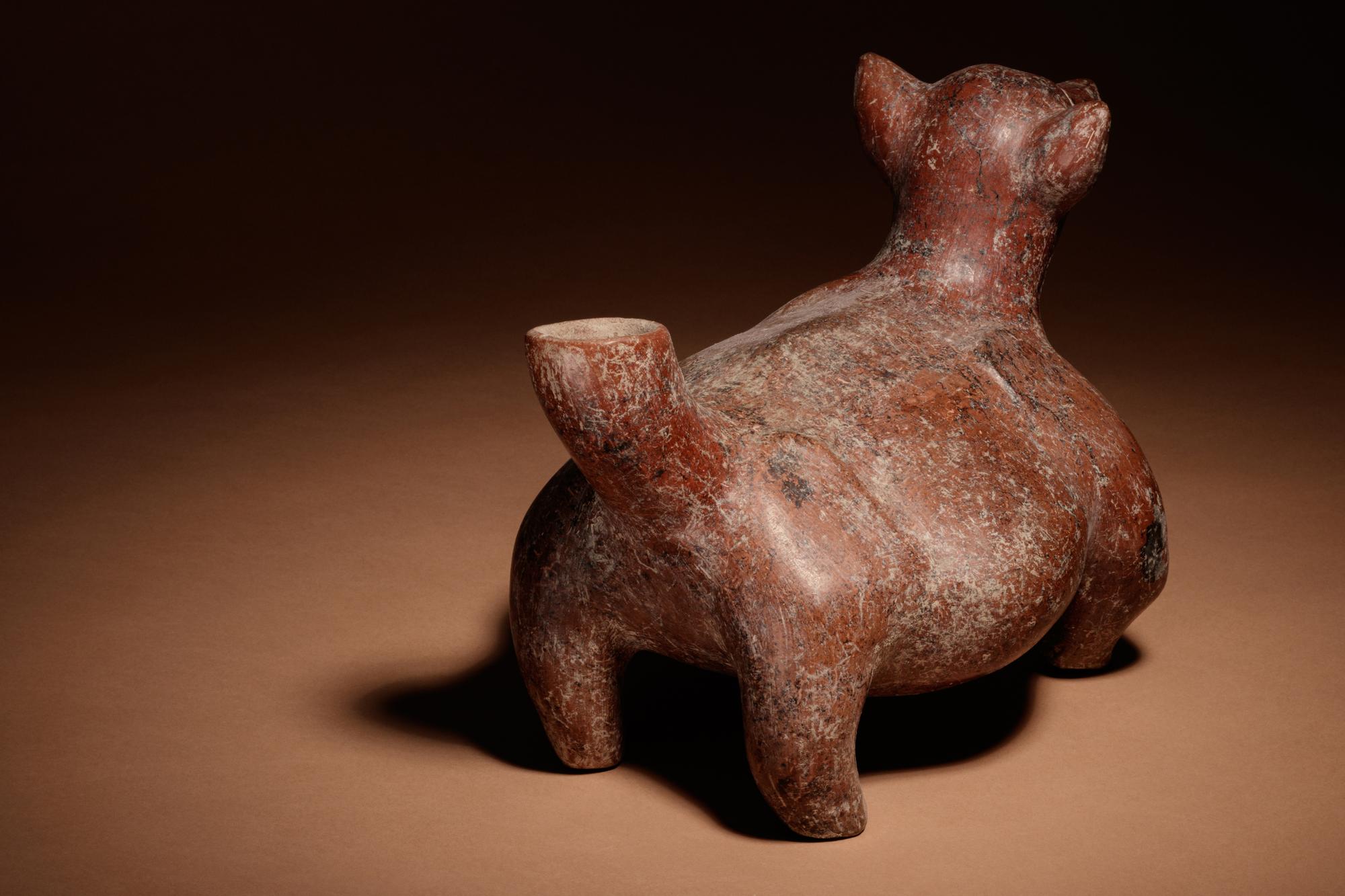 A Colima Terracotta Dog