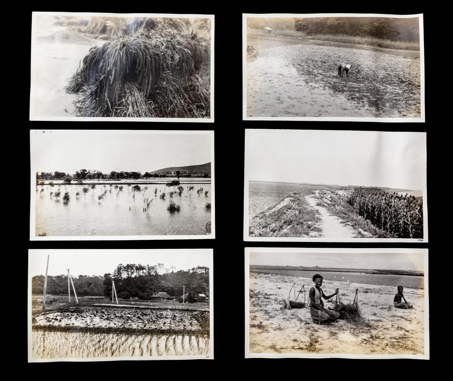 (ASIAN) Archive, including photos, manuscripts, and reports, from 19th-century American engineer in China, Charles Davis Jameson