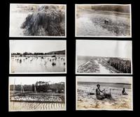 (ASIAN) Archive, including photos, manuscripts, and reports, from 19th-century American engineer in China, Charles Davis Jameson