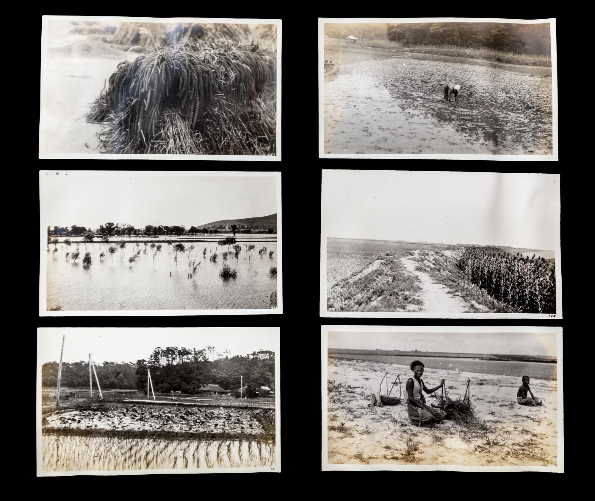 (ASIAN) Archive, including photos, manuscripts, and reports, from 19th-century American engineer in China, Charles Davis Jameson