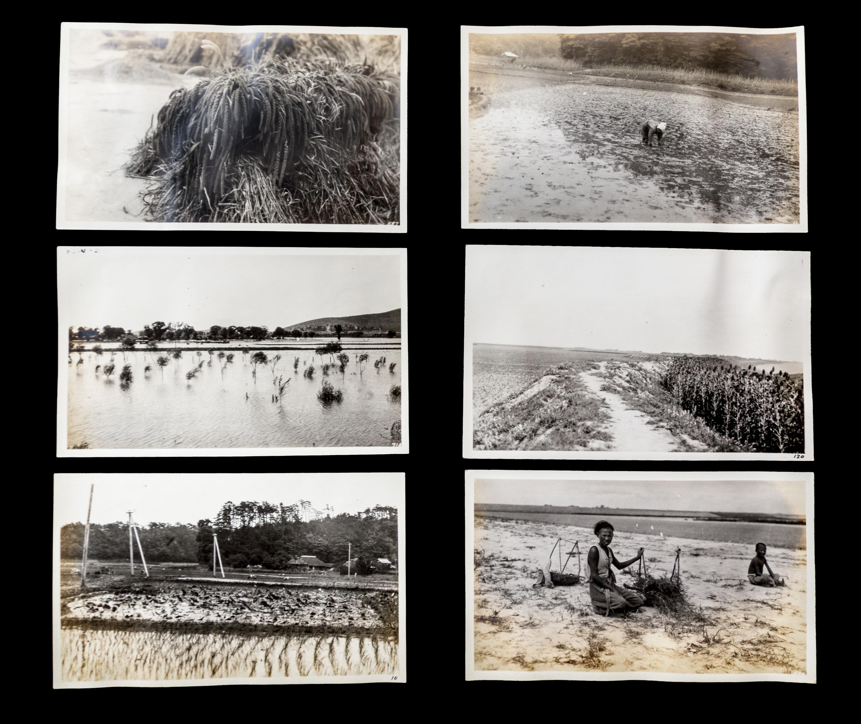(ASIAN) Archive, including photos, manuscripts, and reports, from 19th-century American engineer in China, Charles Davis Jameson