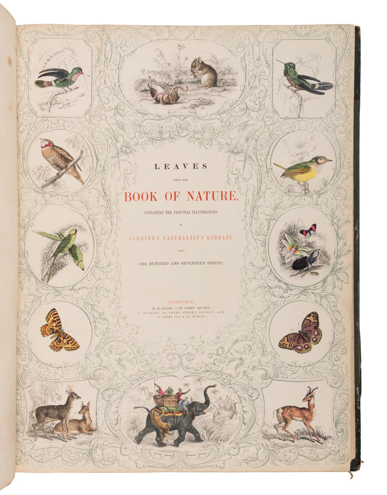 JARDINE, William (1800-1874). Leaves from the Book of Nature, Containing the Principal Illustrations in Jardine's Naturalist's Library . Edinburgh: W.H. Lizars; London: S. Highly; Dublin: W. Curry, [1846].