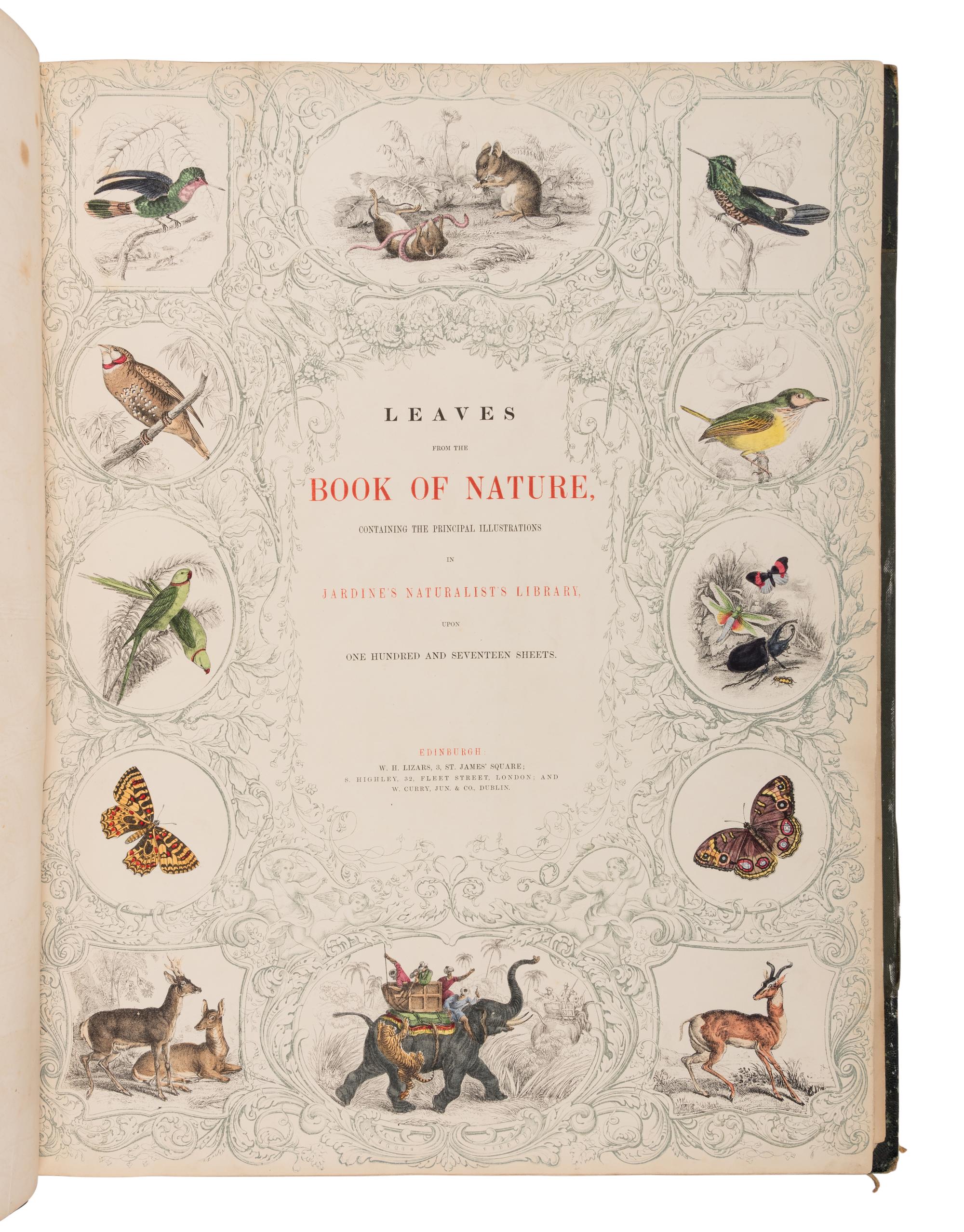 JARDINE, William (1800-1874). Leaves from the Book of Nature, Containing the Principal Illustrations in Jardine's Naturalist's Library . Edinburgh: W.H. Lizars; London: S. Highly; Dublin: W. Curry, [1846].