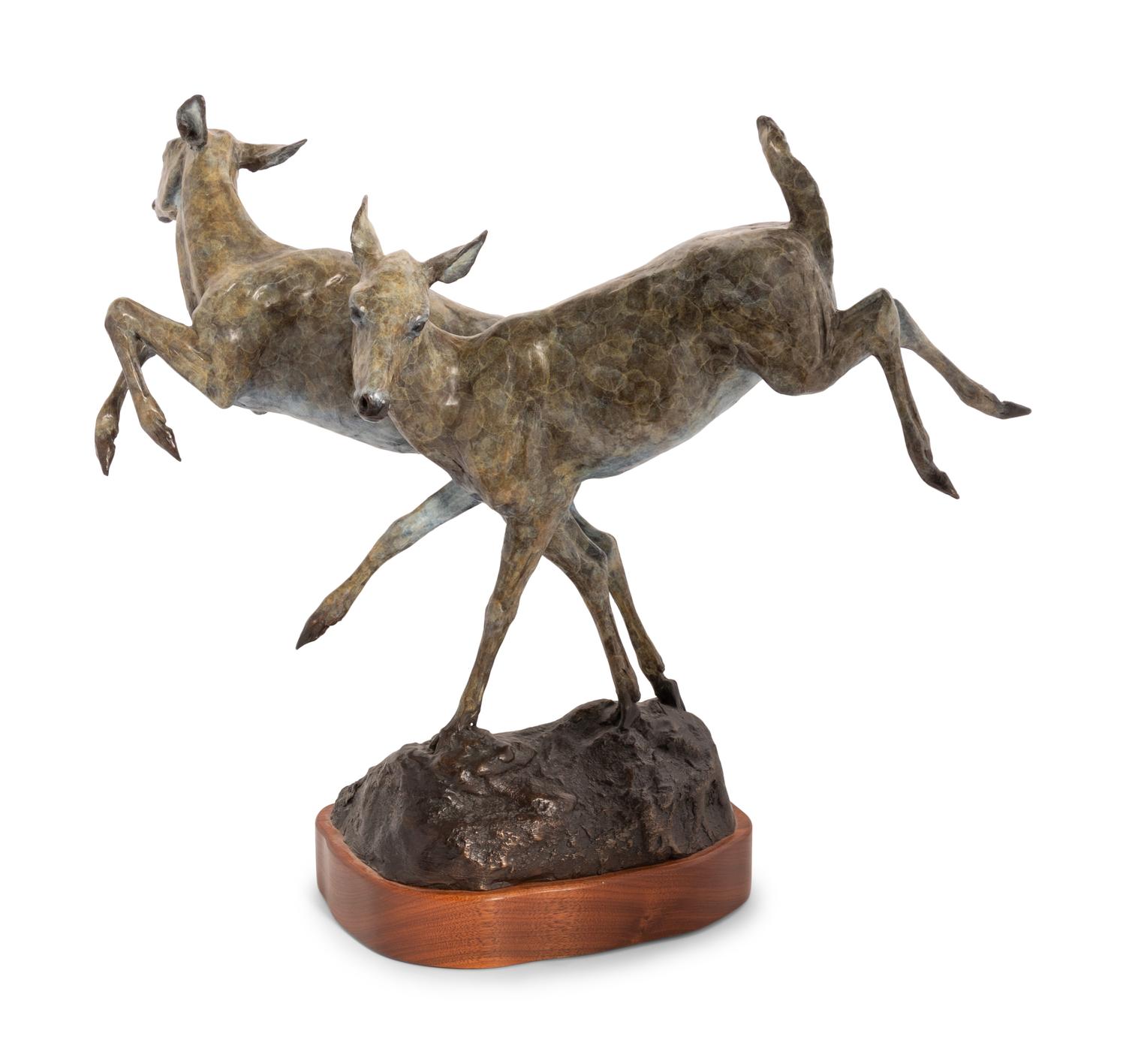 Mule Deer , edition 6/20