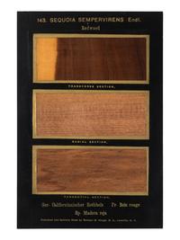 HOUGH, Romeyn Beck (1857-1924). American Woods illustrated by actual specimens: Commercial Species . Lowville, NY: prepared by the author, 1916.
