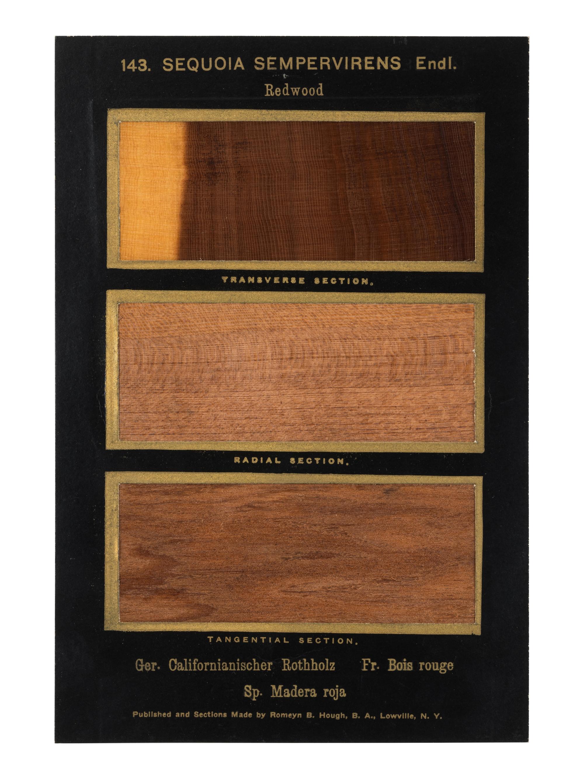 HOUGH, Romeyn Beck (1857-1924). American Woods illustrated by actual specimens: Commercial Species . Lowville, NY: prepared by the author, 1916.