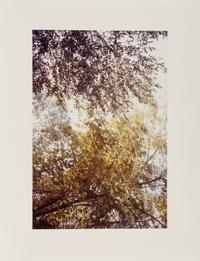 Untitled , 1978
