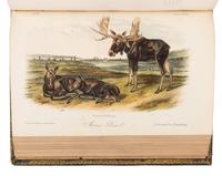 AUDUBON, John James (1785-1851) and John BACHMAN (1790-1874). The Quadrupeds of North America . New York: V.G. Audubon, 1849, 1851, 1854.
