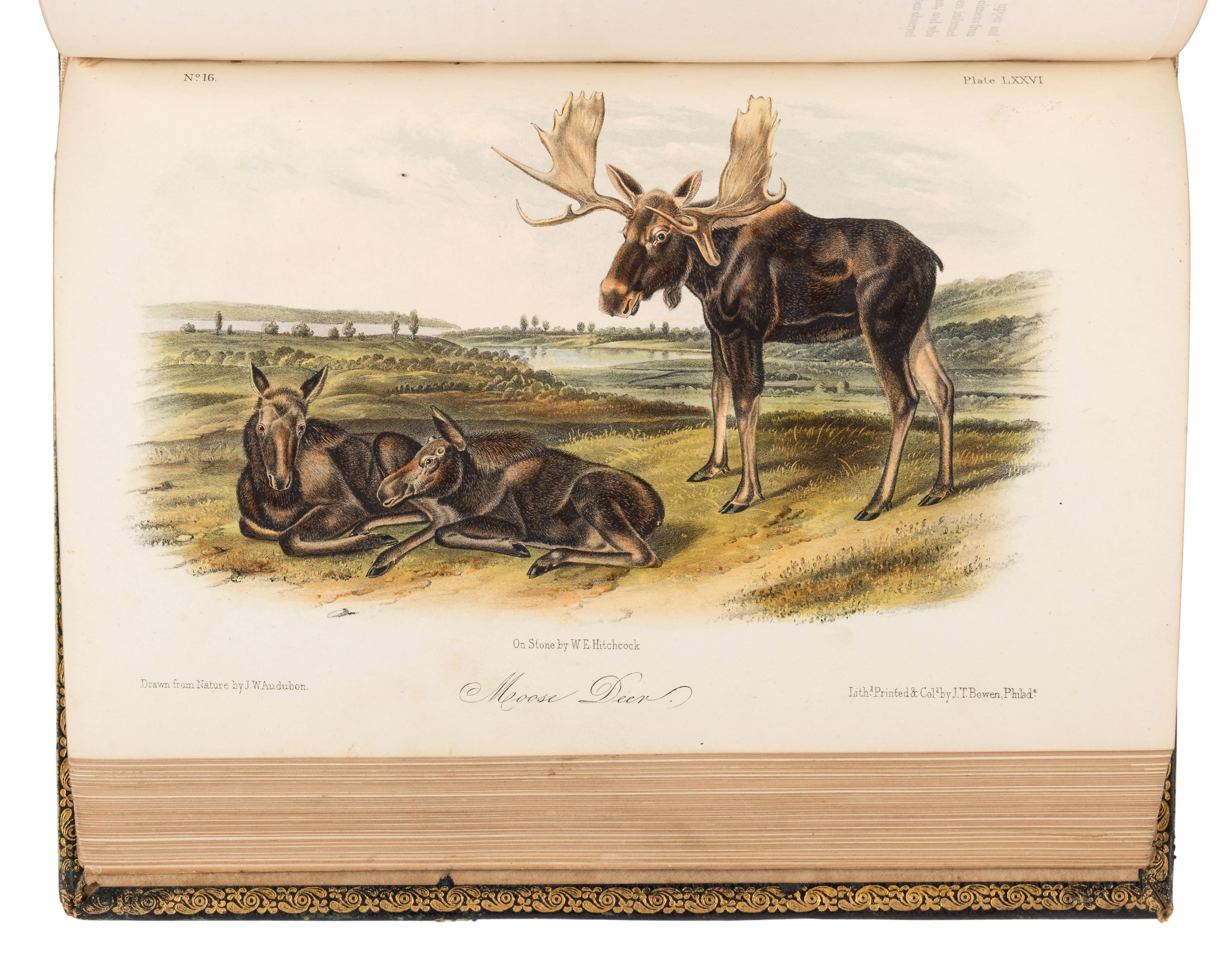 AUDUBON, John James (1785-1851) and John BACHMAN (1790-1874). The Quadrupeds of North America . New York: V.G. Audubon, 1849, 1851, 1854.