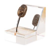 An Egyptian Steatite Scarab