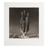 Graciela Iturbide (Mexican, b. 1942) — Centinela, 1999