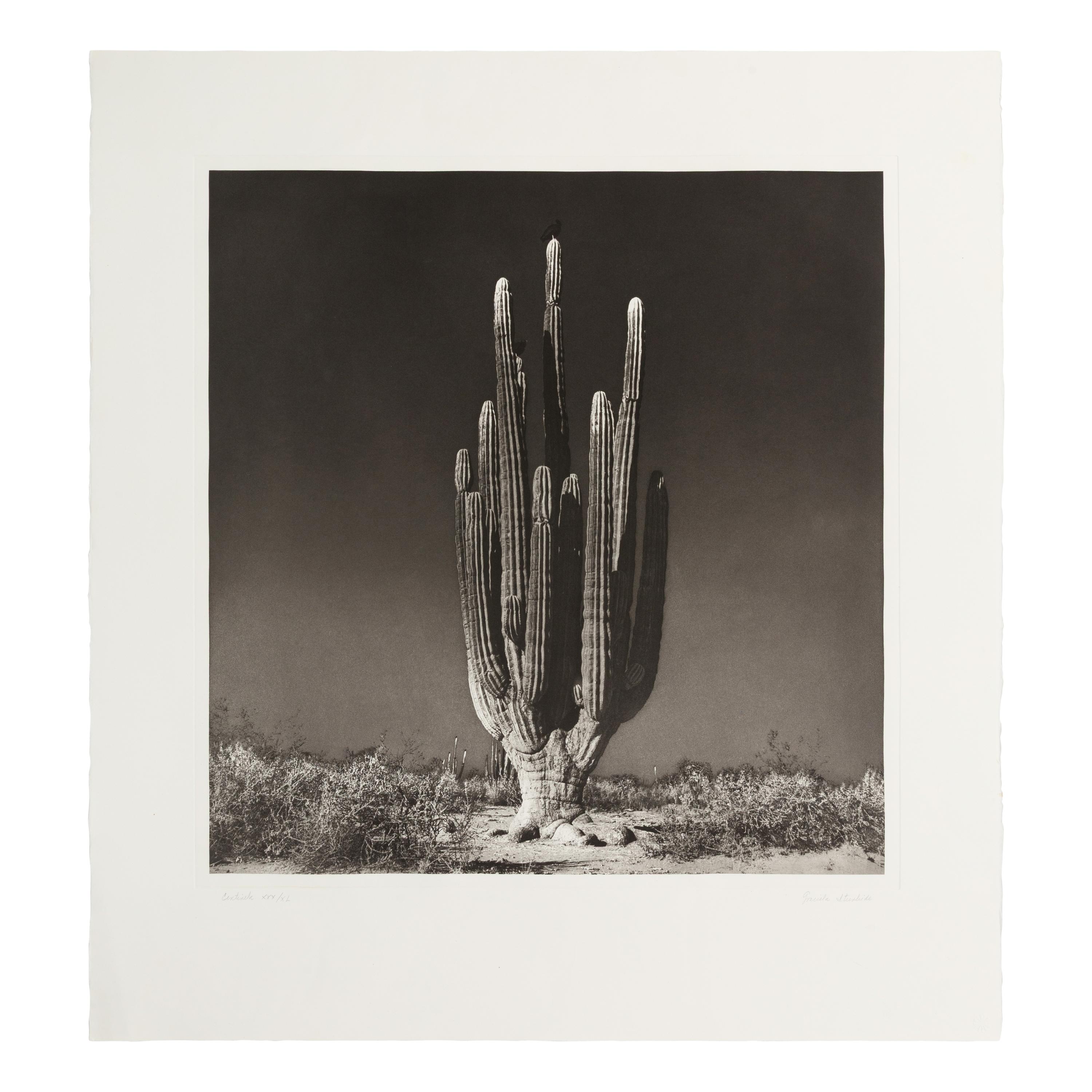 Graciela Iturbide (Mexican, b. 1942) — Centinela, 1999