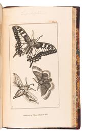 [ENTOMOLOGY & BEETLES]. A group of 47 works, comprising: