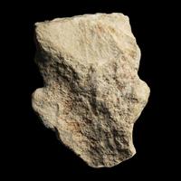 A Palmyrene Limestone Head of a Man