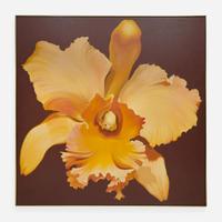 Lowell Nesbitt (American, 1933–1993) Yellow Orchid