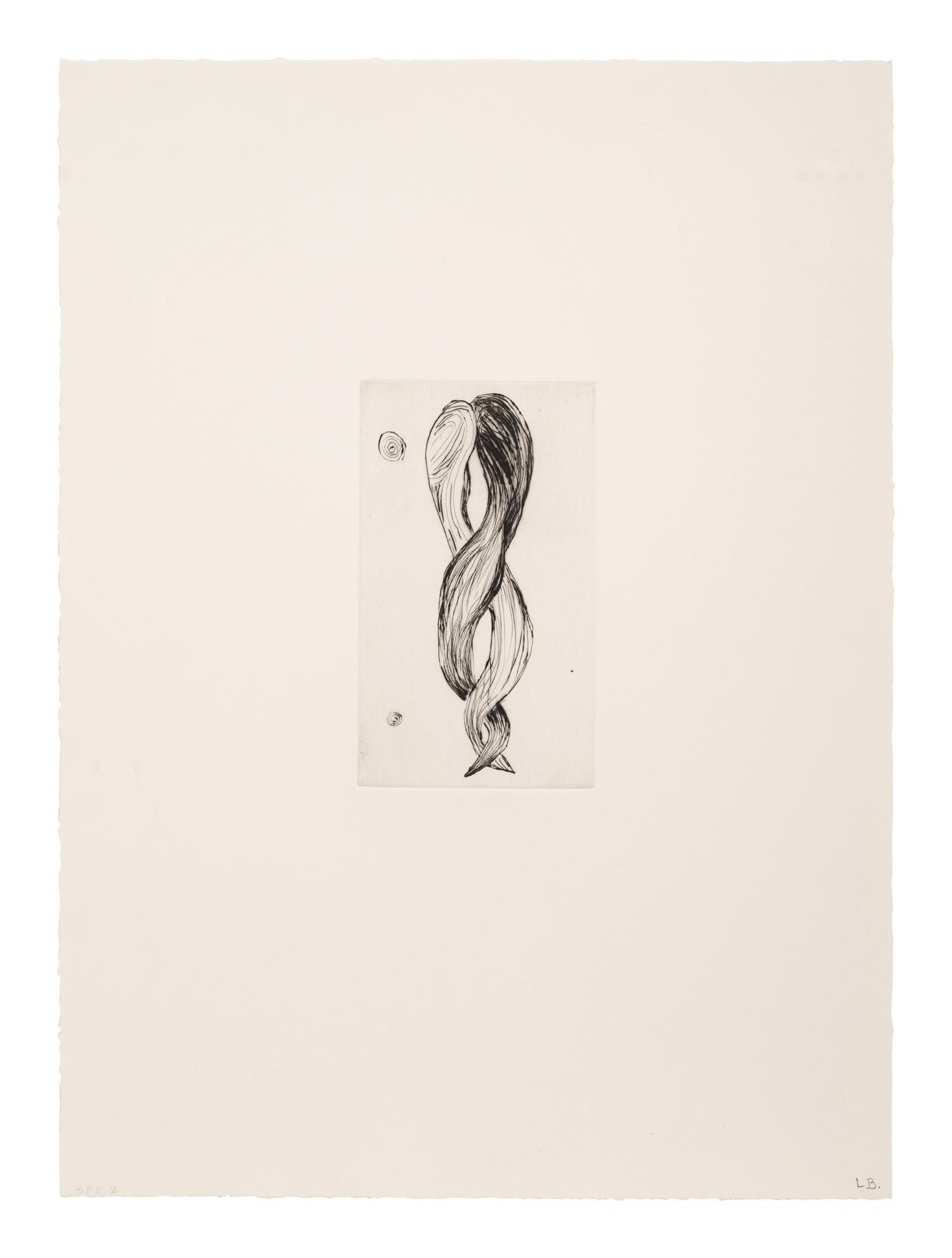 Untitled, no. 3 of 12 (Attempt at Meeting ; Hair) (from Anatomy)