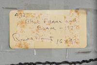 Block Frame and Beam, 1973