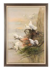 Fan Tailed Doves